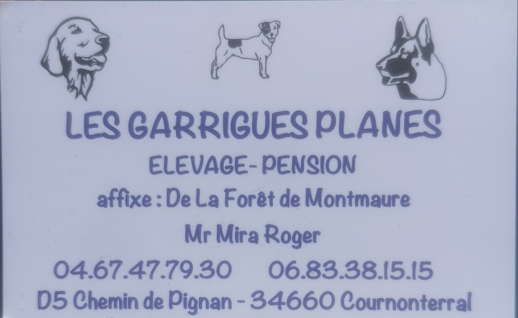 de la Foret de Montmaure